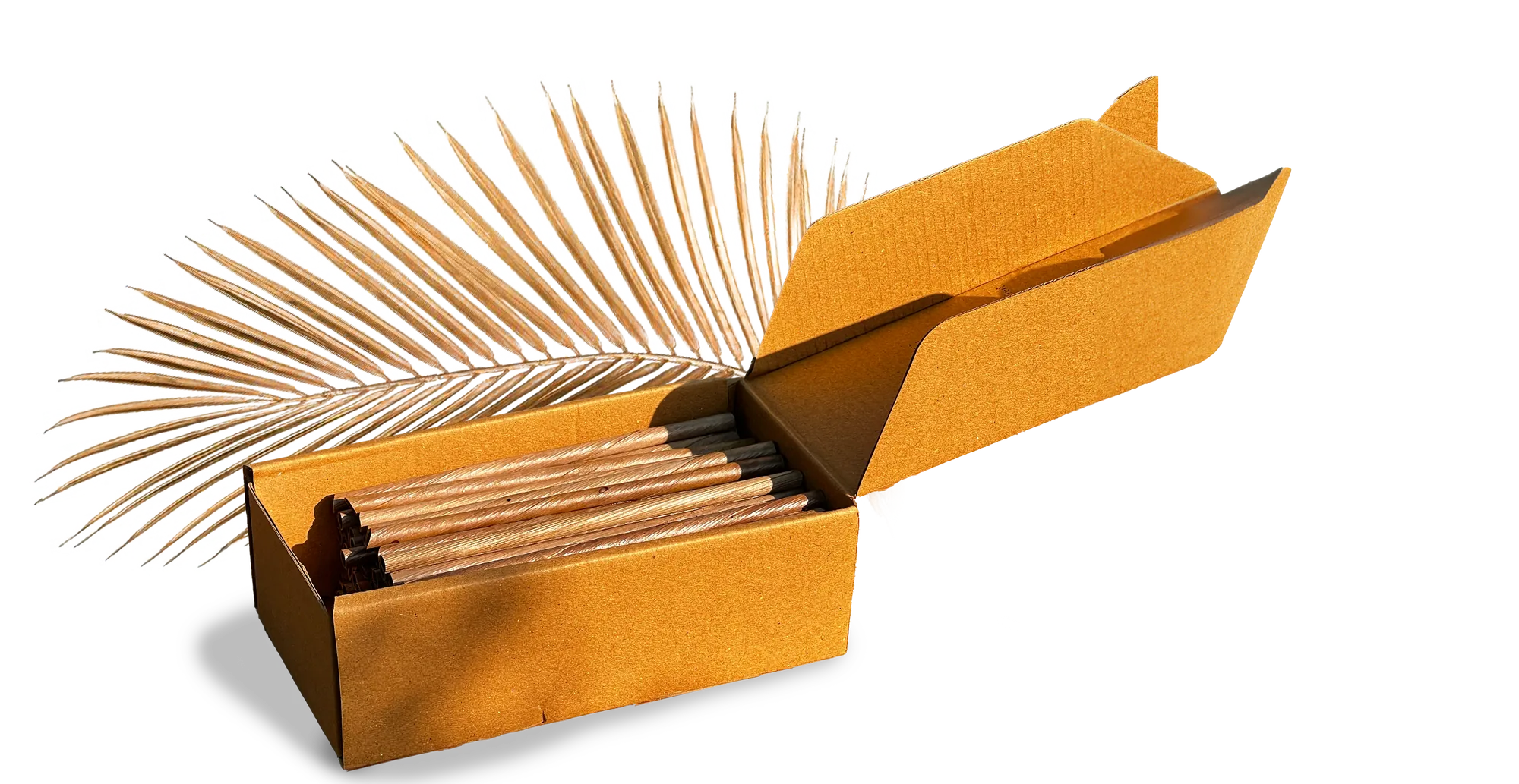 Box of Cocopac coconut-leaf straws with a dried palm frond