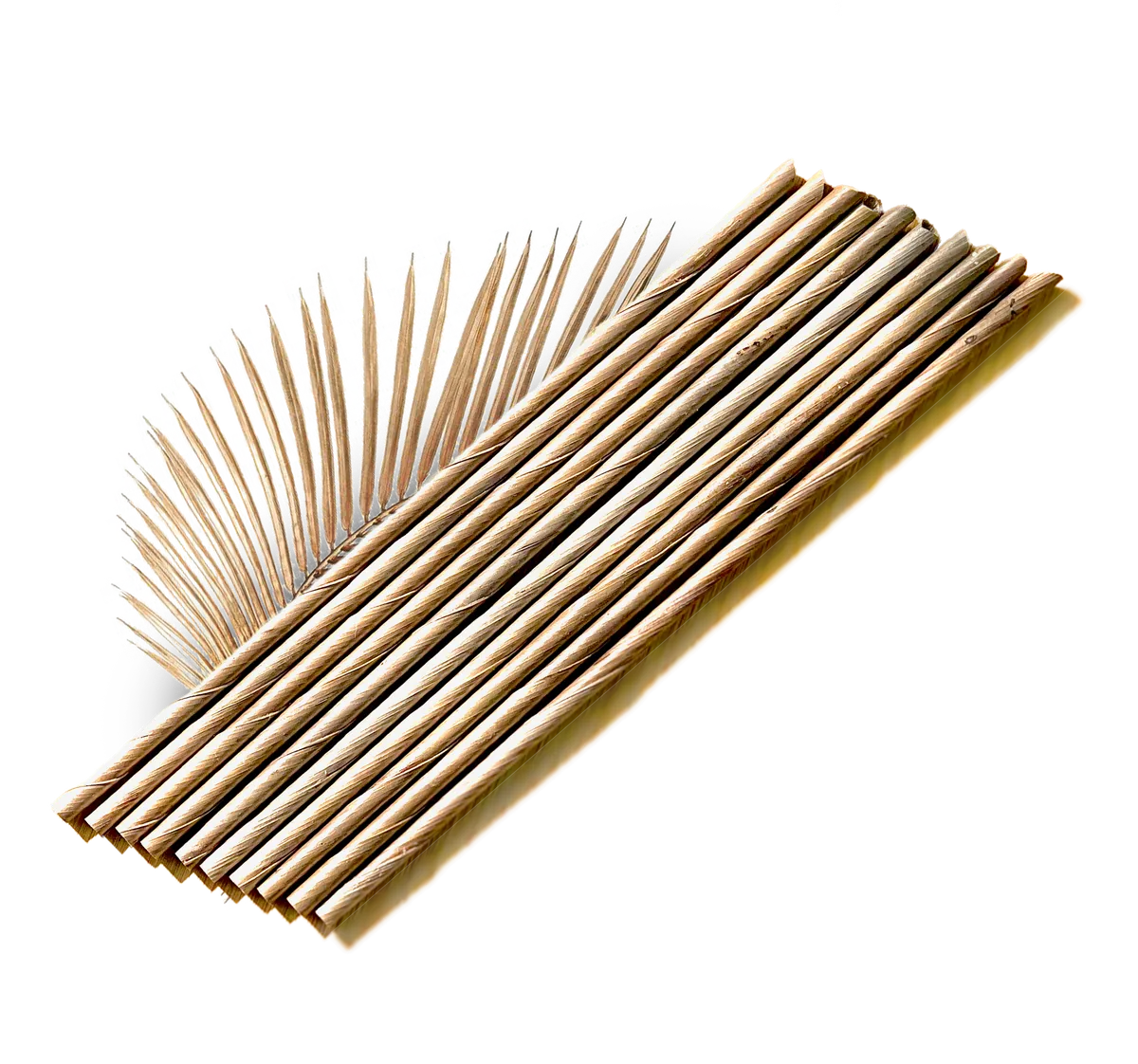 Cocopac Brew coffee ground and rice husk straws